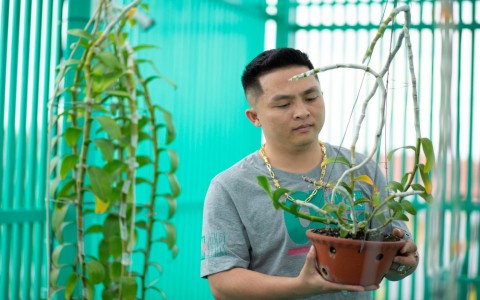 Lê Đăng Khoa: 'Trồng hoa lan đột biến đã giúp tôi trở nên hoàn thiện hơn'
